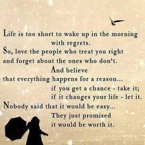 Meet your Posher, Dolma